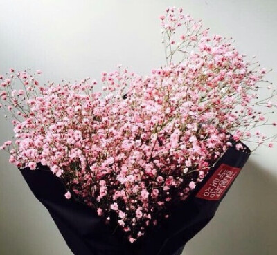 花束 满天星 baby's breath 花簇 植物 鲜花 插花 花朵 花团