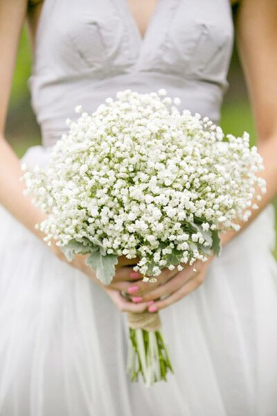 花束 满天星 baby's breath 花簇 植物 鲜花 插花 花朵 花团