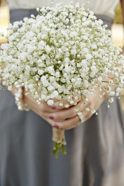 花束 满天星 baby's breath 花簇 植物 鲜花 插花 花朵 花团