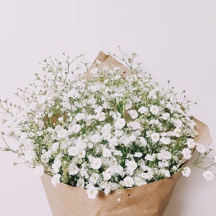 花束 满天星 baby's breath 花簇 植物 鲜花 插花 花朵 花团