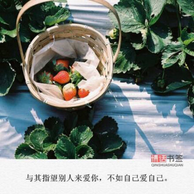 没有你的晚安，我也可以安睡