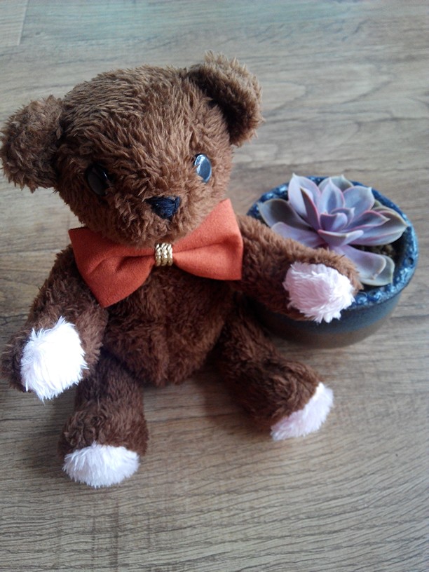 布艺小熊，毛绒布做的，可爱吧～ 微博Emily迷糊鱼