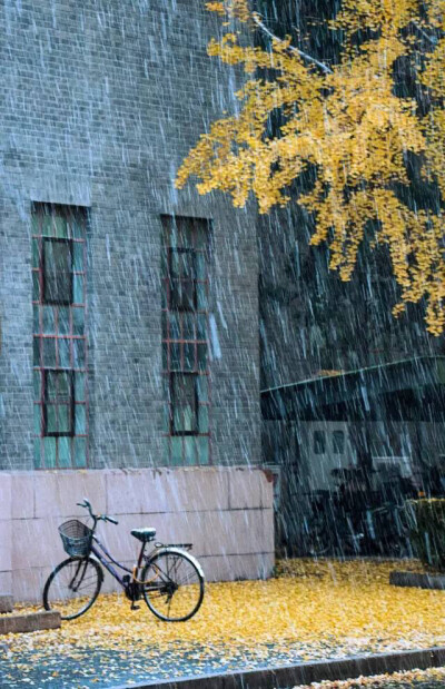 2015清华大学初雪景