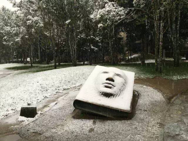 2015清華大學(xué)初雪景 清華園