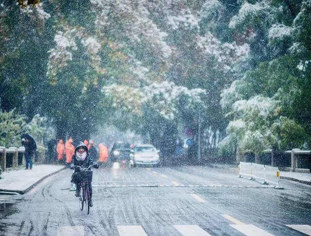 2015清華大學(xué)初雪景 清華路