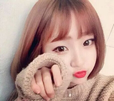 空气刘海 波波头