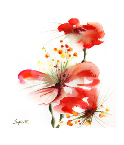 【插画师sophieRR】抽象的水彩花。