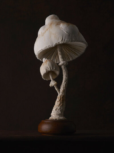 布艺蘑菇。艺术家Mister Finch运用复古的布料创作的菌类雕塑作品，生动地再现菌类生物的形态。