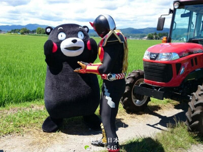 熊本熊 Kuma Mon Mono 部长 萌萌的 熊本县 吉祥物 黑熊 呆萌 日本