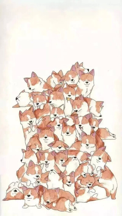  “圣诞节快到了 告诉单身狗一个好消息！要升级为雪橇犬啦！！开不开心！！开不开心？”