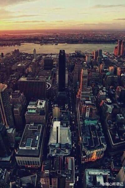 You must know that this is my dream.