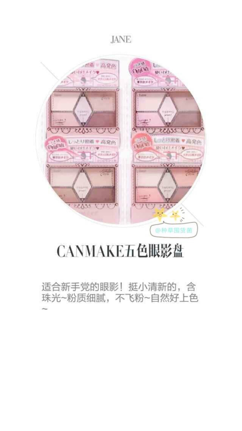 canmake 五色眼影盘