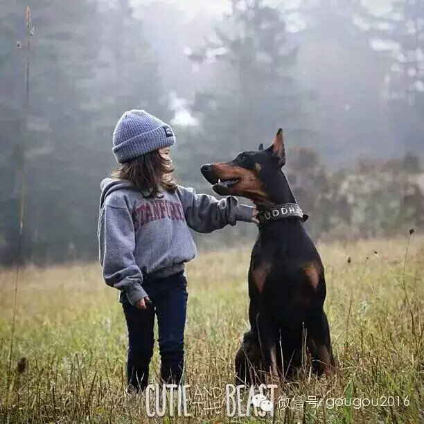 西雅图女孩和她的杜宾犬