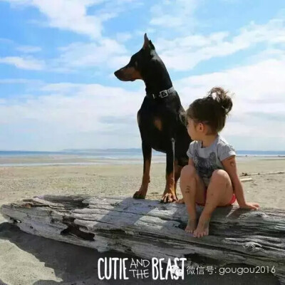 西雅图女孩和她的杜宾犬