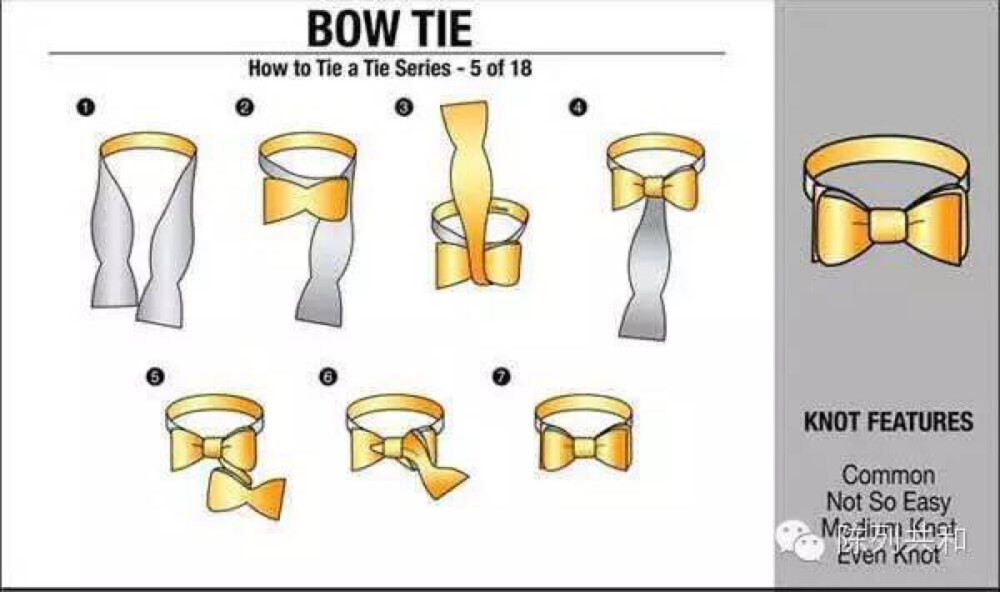 BOW TIE 蝴蝶领结