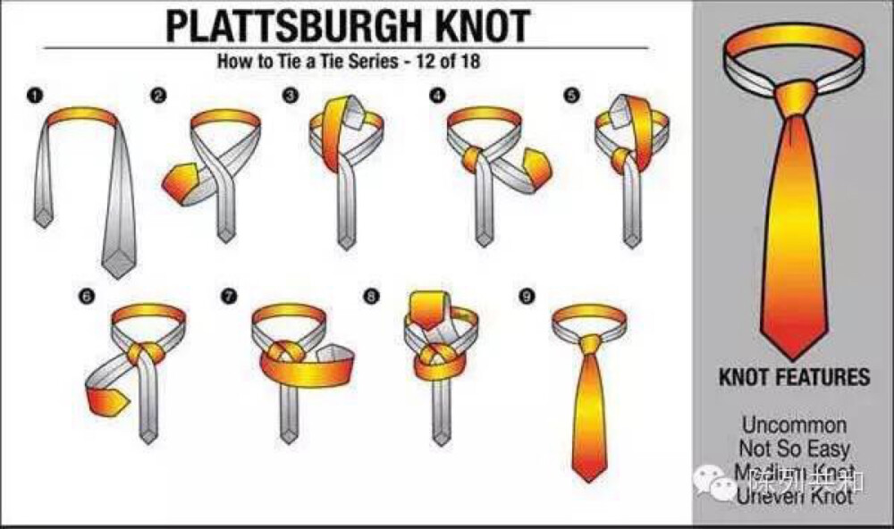 PLATTSBURGH KNOT 普拉茨堡结