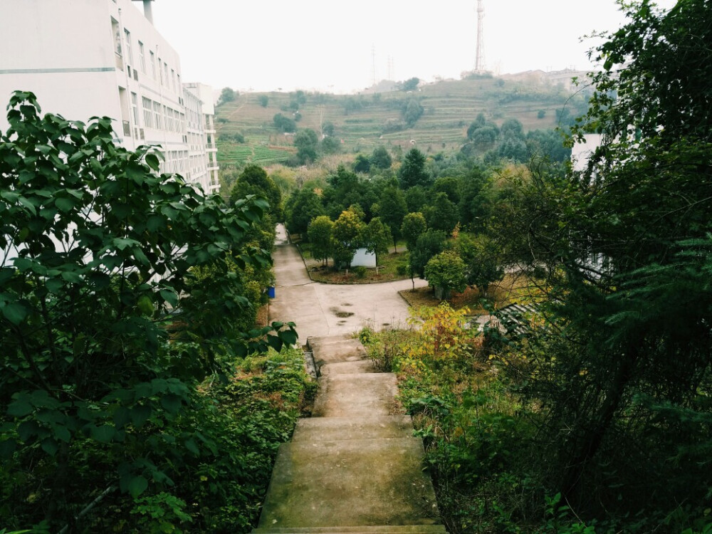 医学院 翠屏山