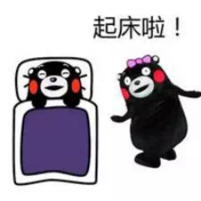 起床啦 kumamon