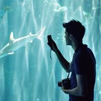 情侣头像 深海的鱼