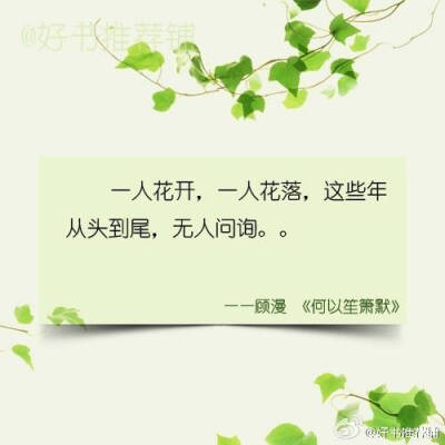 一人花开，一人花落，这些年从头到尾，无人问询