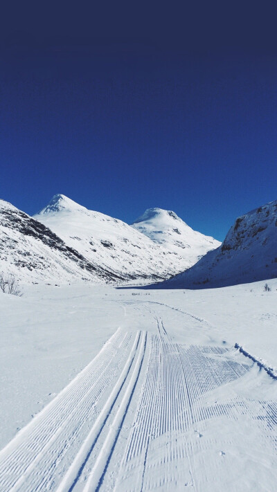 纯净 雪