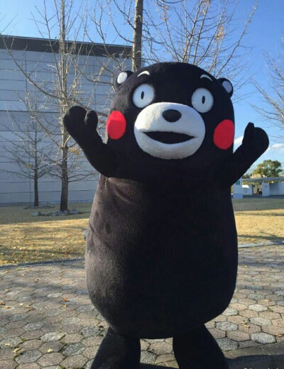 kumamon 熊本熊