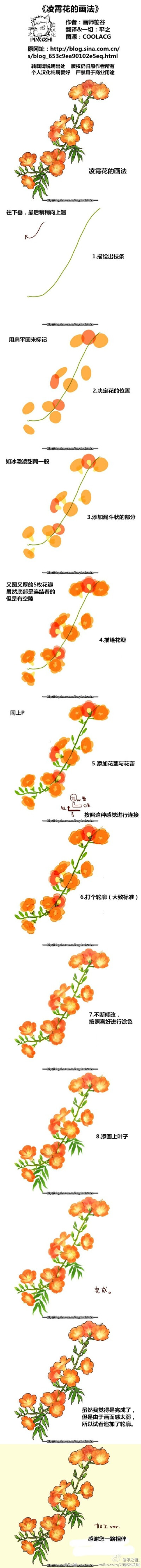 《画师笹谷的花卉动漫插画教程系列》凌霄花、牵牛花、紫阳花丶紫藤丶樱花。附带画师的一个画树枝的小教程。 喜欢花花的一定要看看，转给需要的伙伴们把~ （翻译一切：平之君）