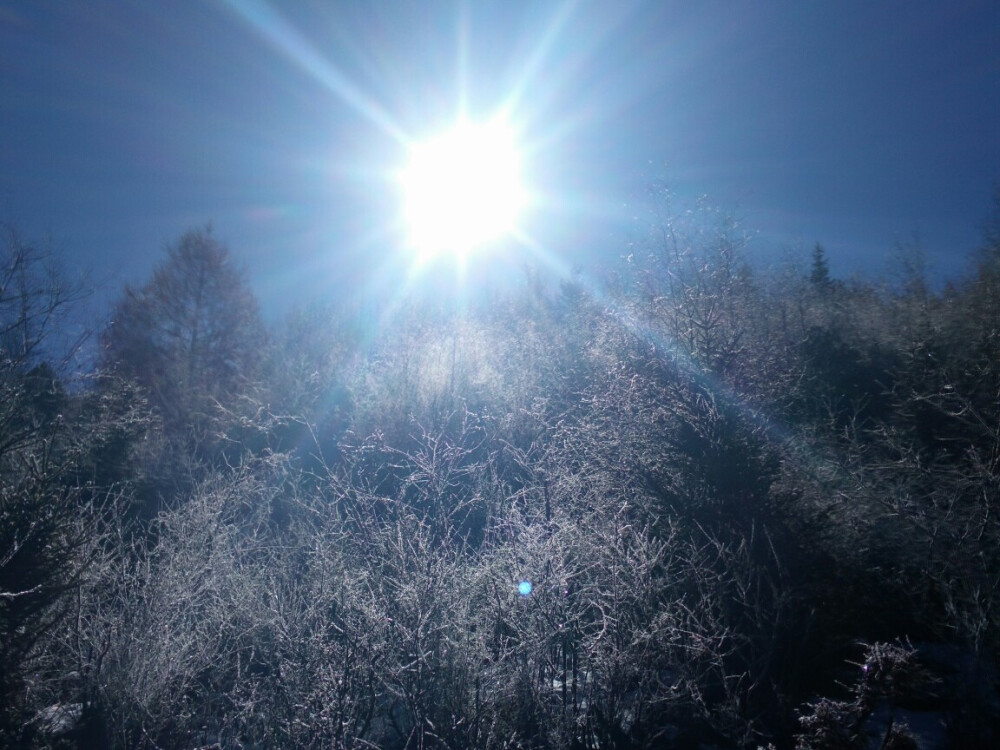 香格里拉的梦幻雪景