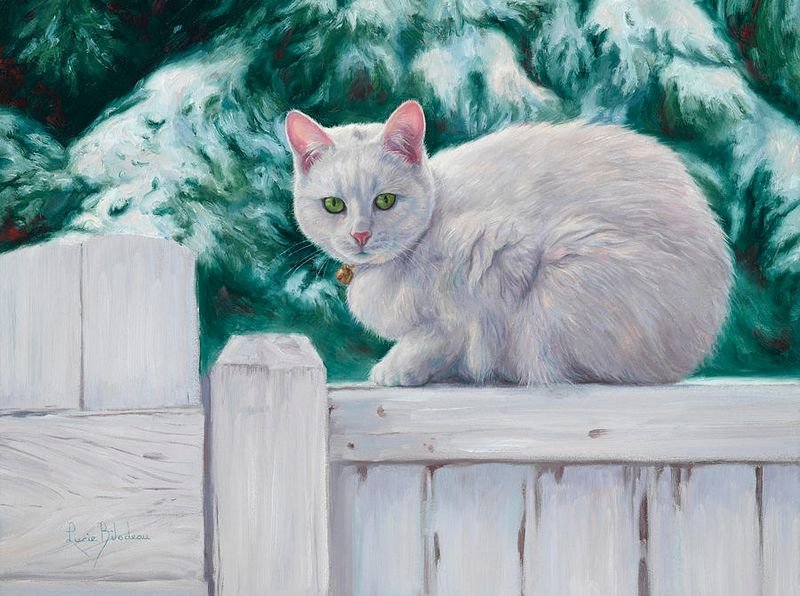 猫咪系列油画作品欣赏 美国画家Lucie Bilodeau