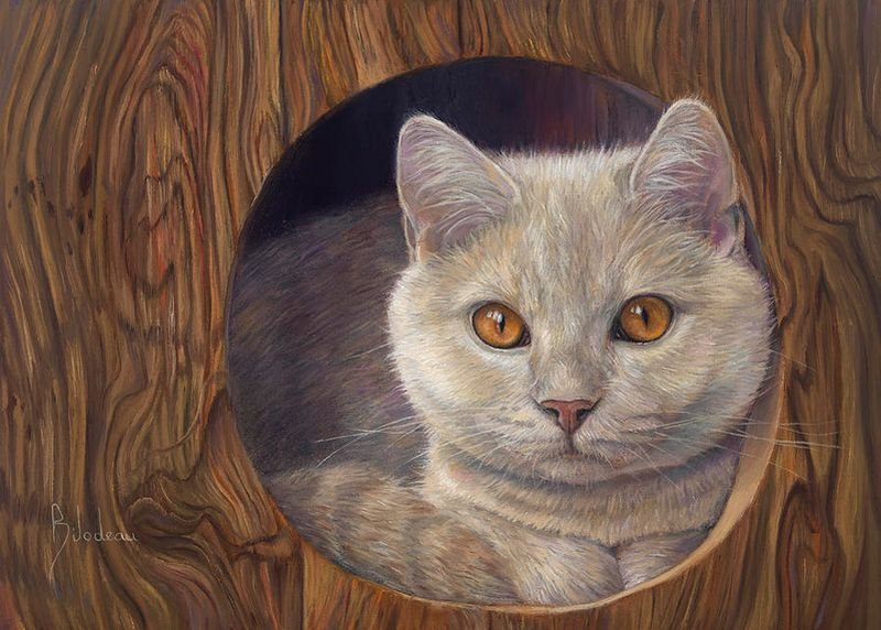 猫咪系列油画作品欣赏 美国画家Lucie Bilodeau