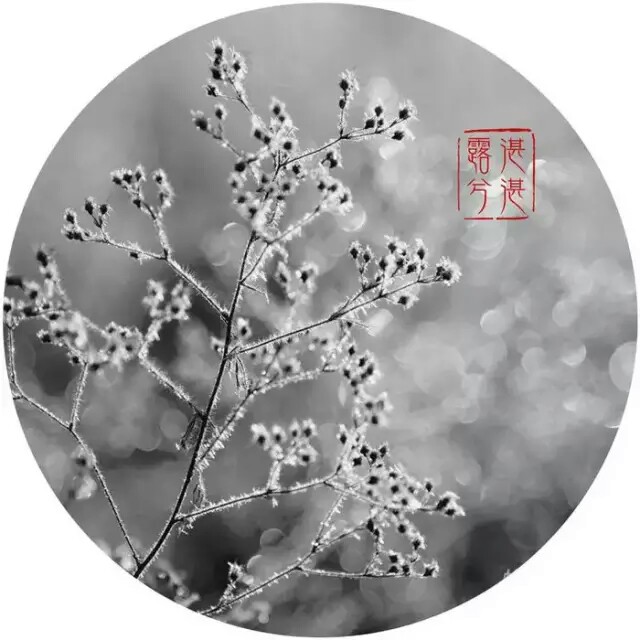 诗经·湛湛露兮