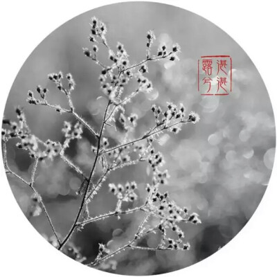 诗经·湛湛露兮