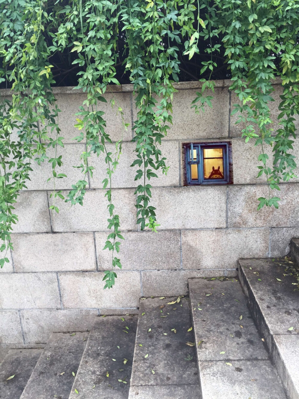 龙猫，绿色植物，小窗子