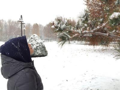 下雪 侧脸 松树 自然 人物 雪