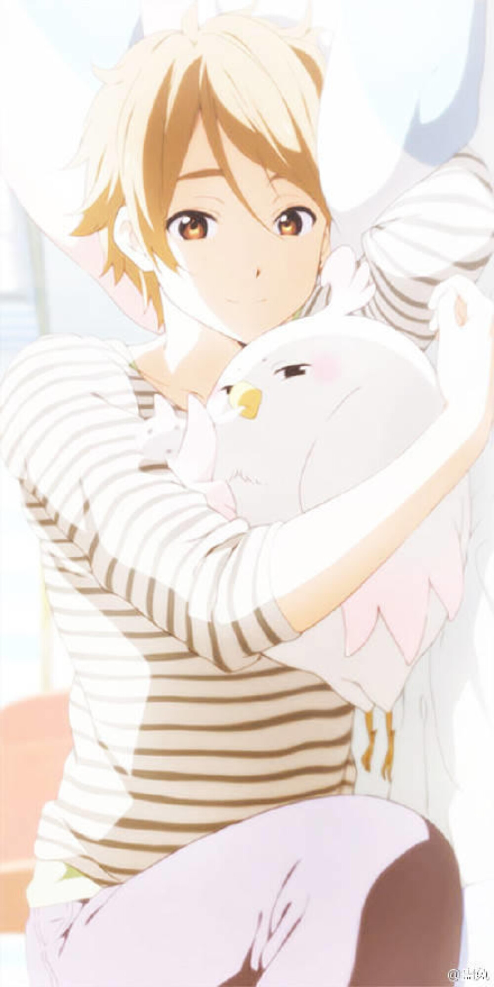 玉子市场 饼藏ヽ(;▽;)ノ - 堆糖,美图壁纸兴趣社区