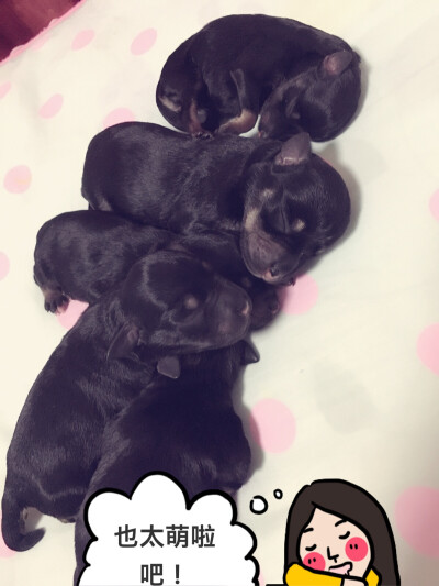 哈哈我家妞儿做妈妈了