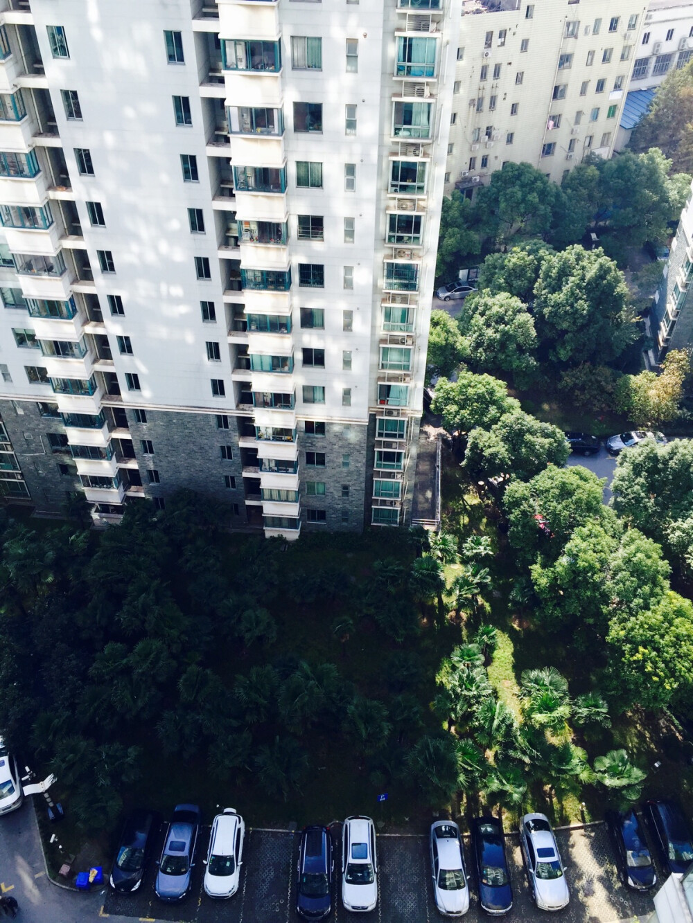 下了N天雨 终于放晴的上海