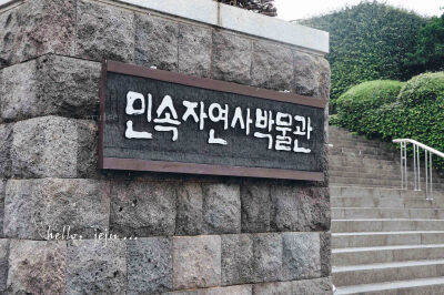 【cruise】hello，jeju …五脏俱全的自然博物馆，ps：里面的海洋馆一定要去，有惊喜