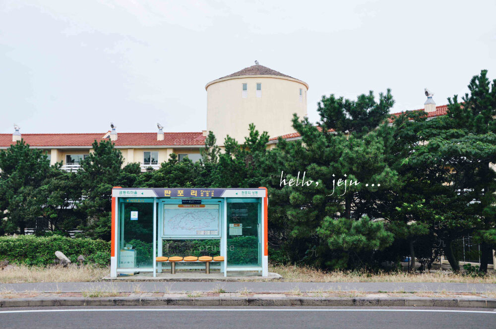 【cruise】hello，jeju …酒店门口的公交站，一小时的一趟公车