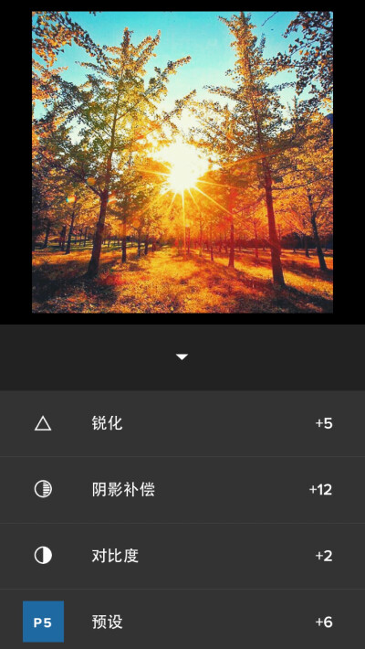 VSCO调色 步骤:预设P5+6 对比度+2 锐化+5 阴影补偿+12