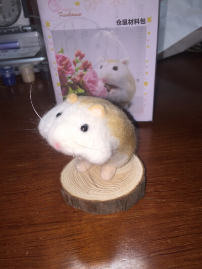 Hamster; Day 1