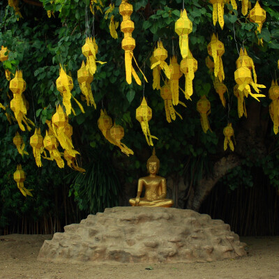 清迈寺庙水灯节期间寺庙到处挂着这些纸灯