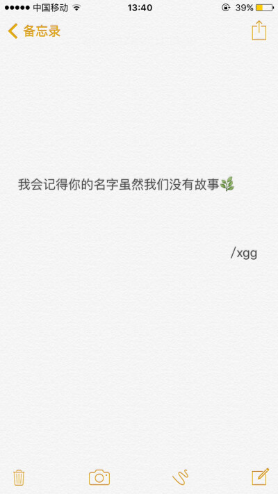 我会记得你的名字 虽然我们没有故事 文字 备忘录 /欣勾勾