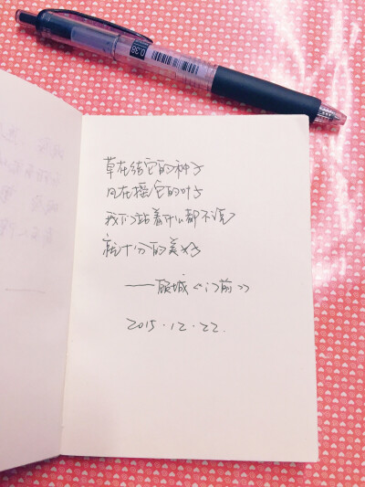 手写字体，文字摘抄@尼尔斯哥哥骑鹅去月球