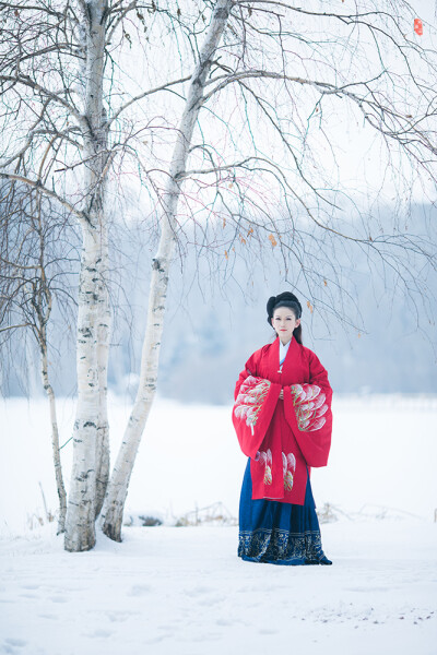 〔 踏雪寻鹿 〕 三万六千顷，玉壶天地寒。庾岭封的皪，淇园折琅琊。