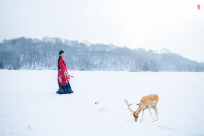 〔 踏雪寻鹿 〕 .三万六千顷，玉壶天地寒。庾岭封的皪，淇园折琅琊。