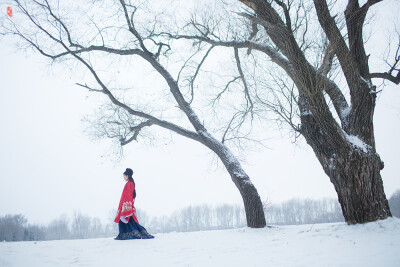 〔 踏雪寻鹿 〕 .三万六千顷，玉壶天地寒。庾岭封的皪，淇园折琅琊。