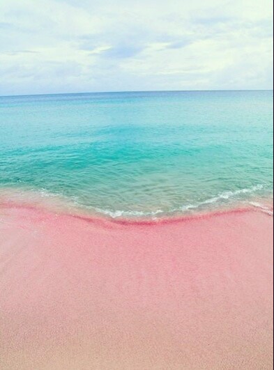 此生一定要去的地方，巴哈马哈勃岛东侧的Pink Sands Beach，世上独一无二的粉色沙滩