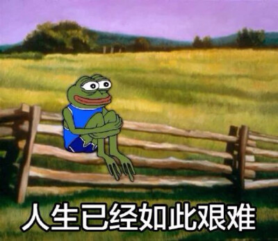 @表情菌：人生已经如此艰难#表情菌分享#