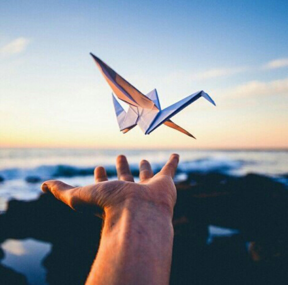 松手那一刻纸鹤它飞走了